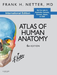 Atlas of human anatomy