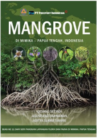 Mangrove di Mimika-Papua Tengah, Indonesia