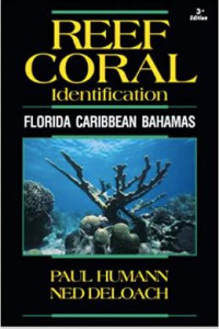 Image of Reef coral identification Florida Caribbean Bahamas including marine plants