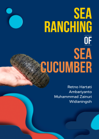 Sea ranching of sea cucumber