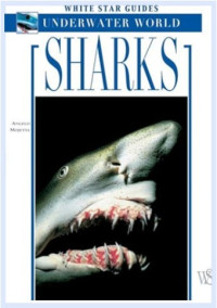 Image of Sharks