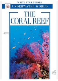 The coral reef