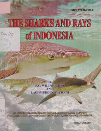 The sharks and rays of Indonesia